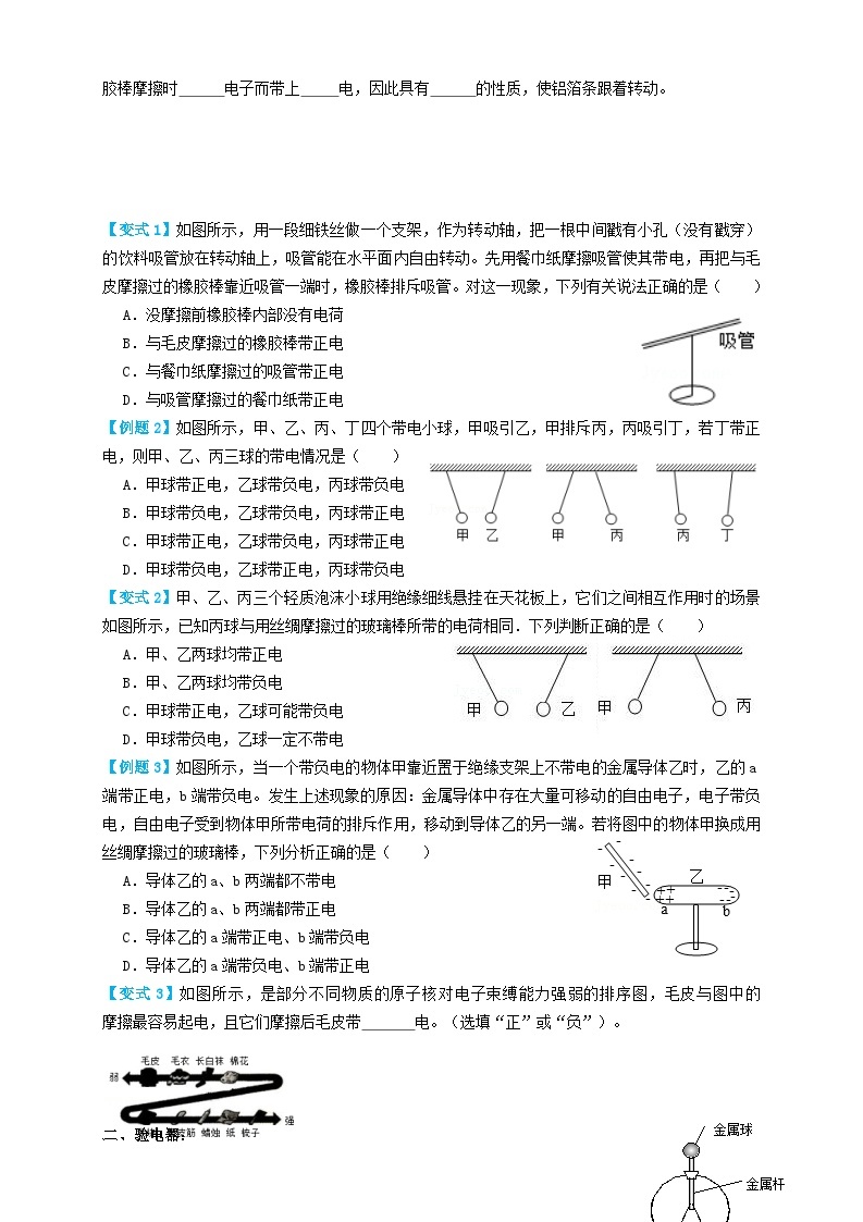 2024年中考物理必考考点专题30电荷和电路（原卷版）02