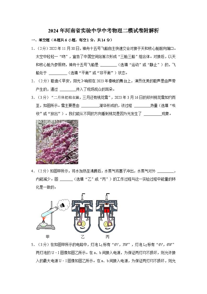2024年河南省实验中学中考物理二模试卷附解析01
