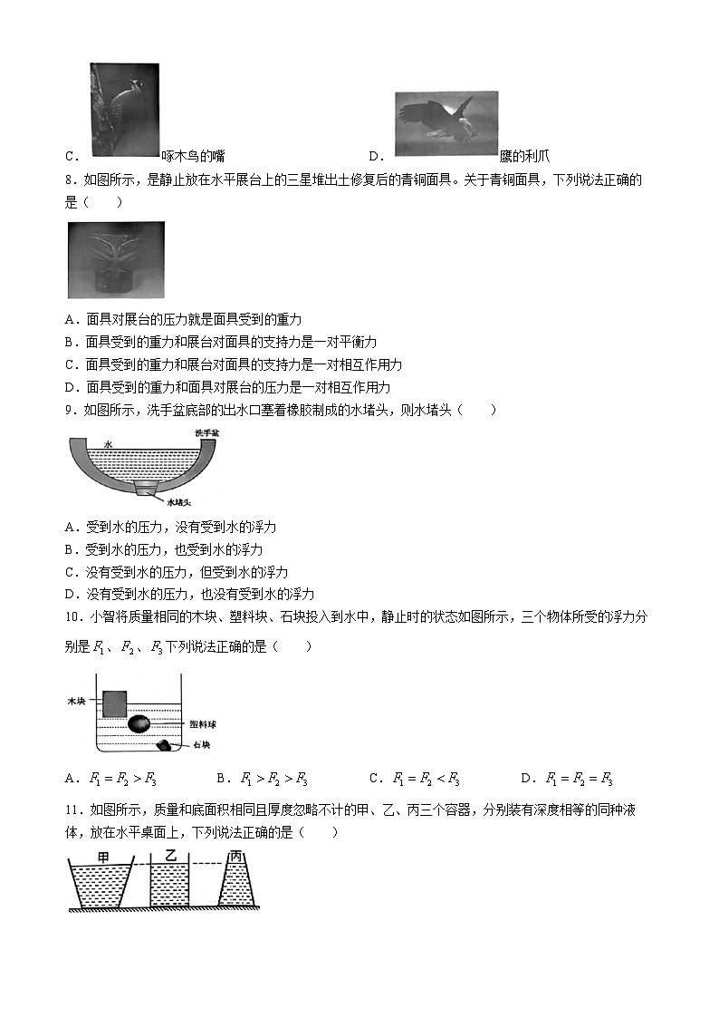 福建省漳州市漳州一中区域联考2023-2024学年八年级下学期4月期中物理试题(无答案)02