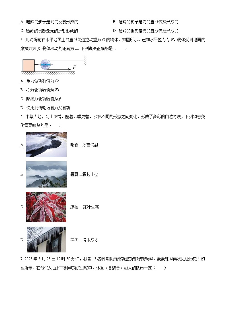 2024年山东省枣庄市新城实验中学中考物理一模试卷（原卷版+解析版）02