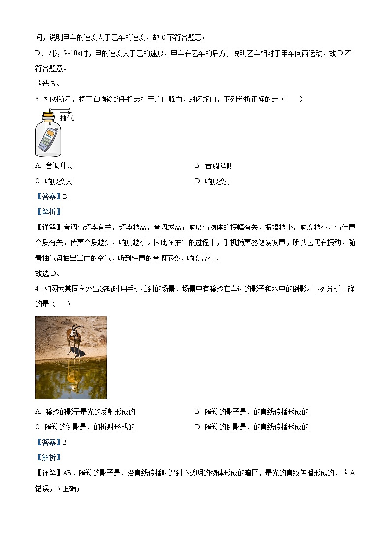 2024年山东省枣庄市新城实验中学中考物理一模试卷（原卷版+解析版）02