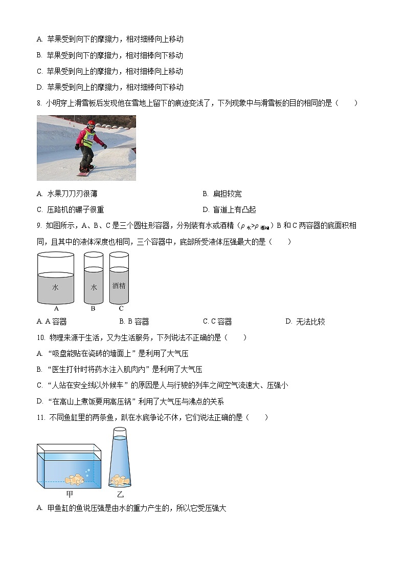 四川省绵阳市安州区2023-2024学年八年级下学期4月期中物理试题（原卷版）第3页