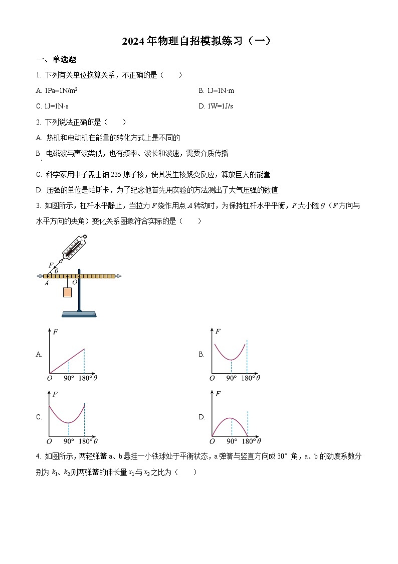 2024年山东省青岛滨海学校中考物理自招模拟题（一）（原卷版）第1页
