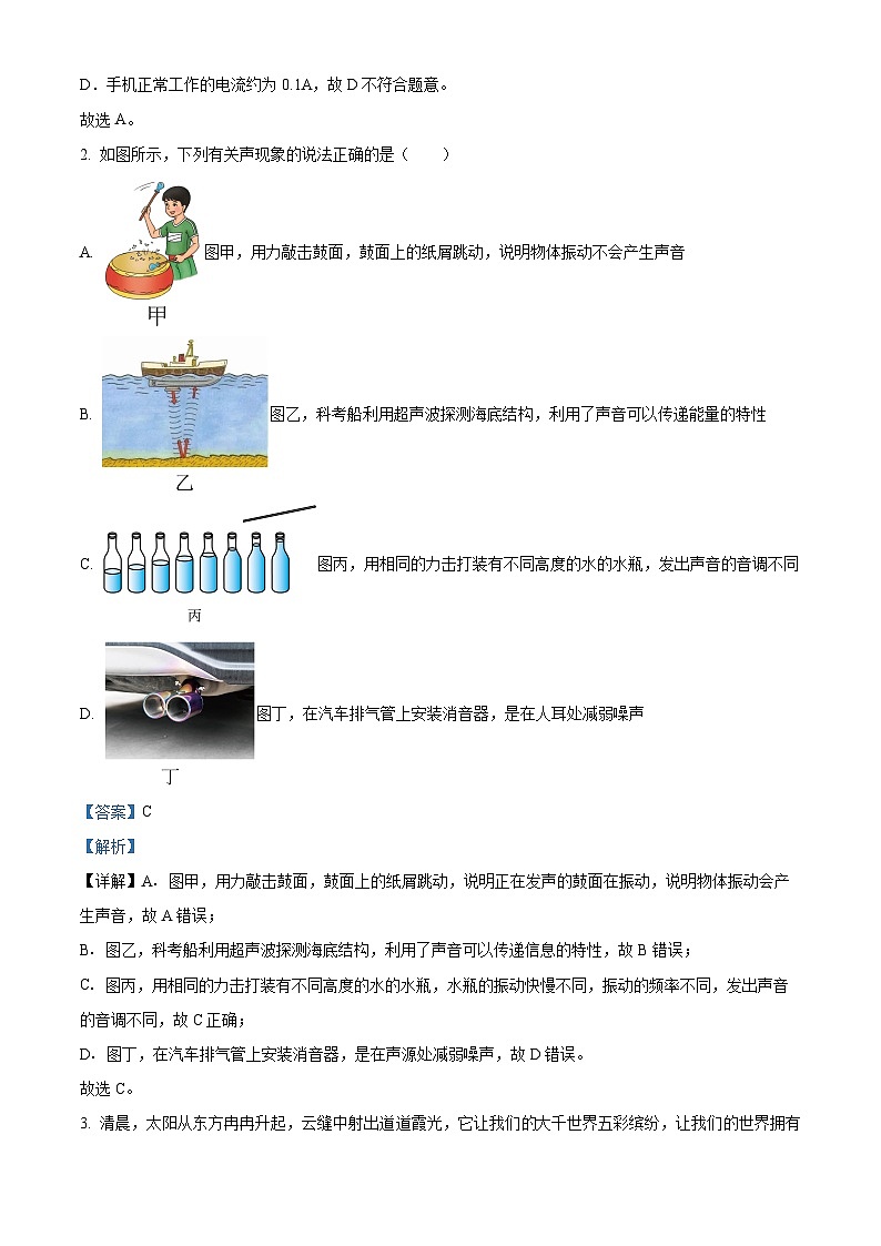 2024年云南西双版纳九年级中考一模物理试题（解析版）第2页