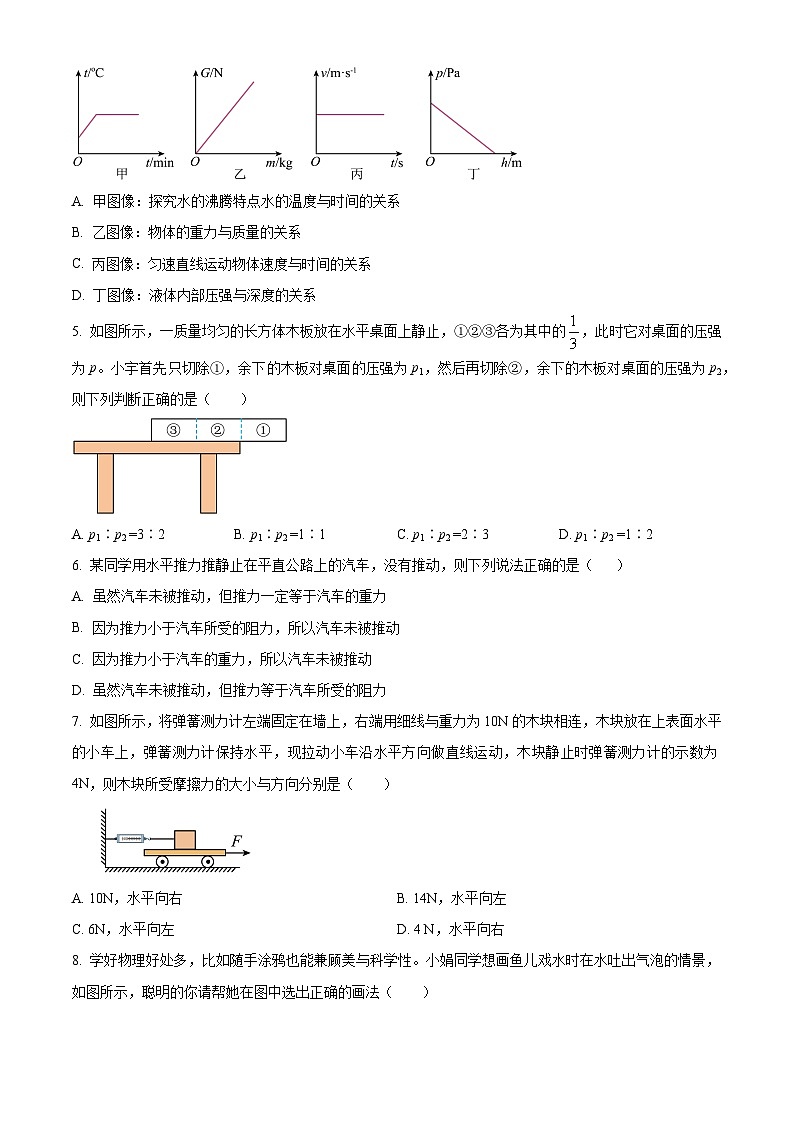 四川省巴中市平昌中学2023-2024学年八年级下学期物理期中考试题（原卷版）第2页