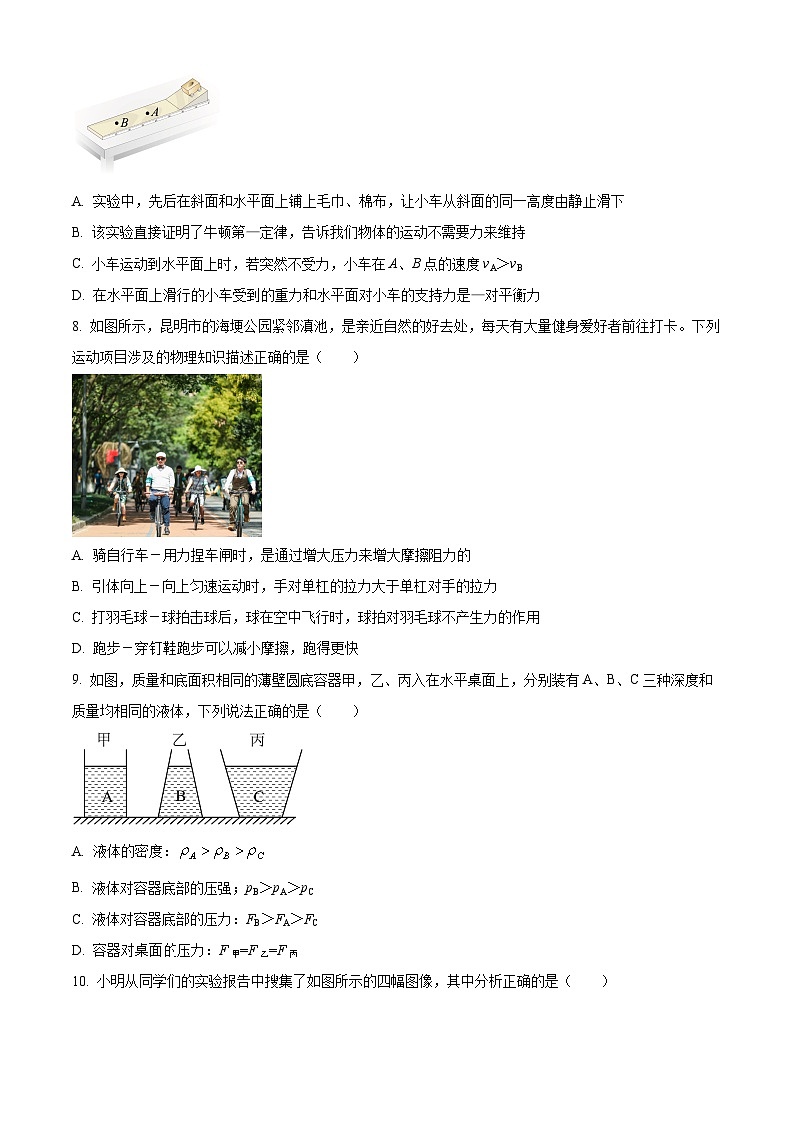 云南省昭通市巧家县2023-2024学年八年级下学期4月期中物理试题（原卷版+解析版）03