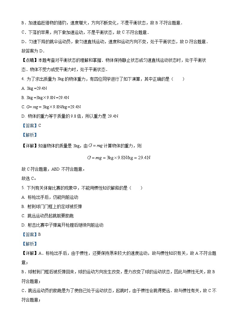 湖南省永州市新田县2023-2024学年八年级下学期期中考试物理试题（解析版）第3页