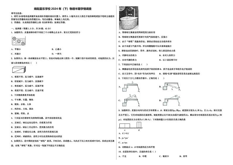四川省绵阳市绵阳富乐学校 2023-2024 学年八年级下学期 期中物理试题01