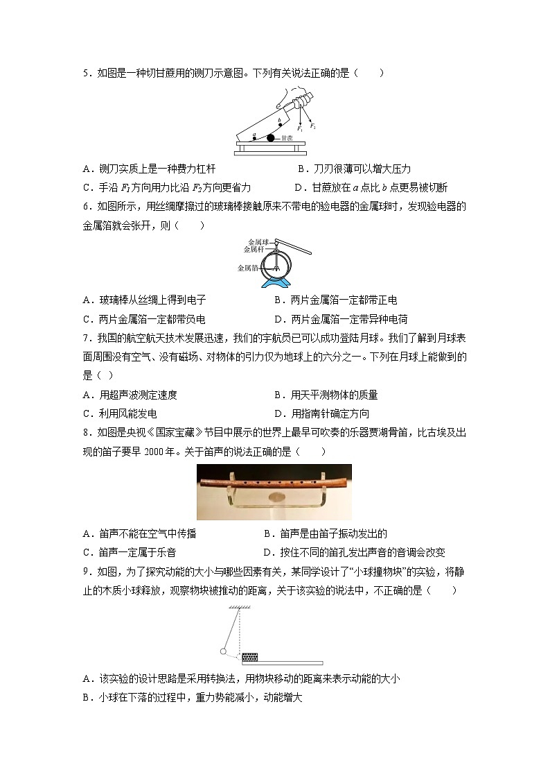 必刷卷05-2024年中考物理考前信息必刷卷（四川成都专用）（原卷版）第3页