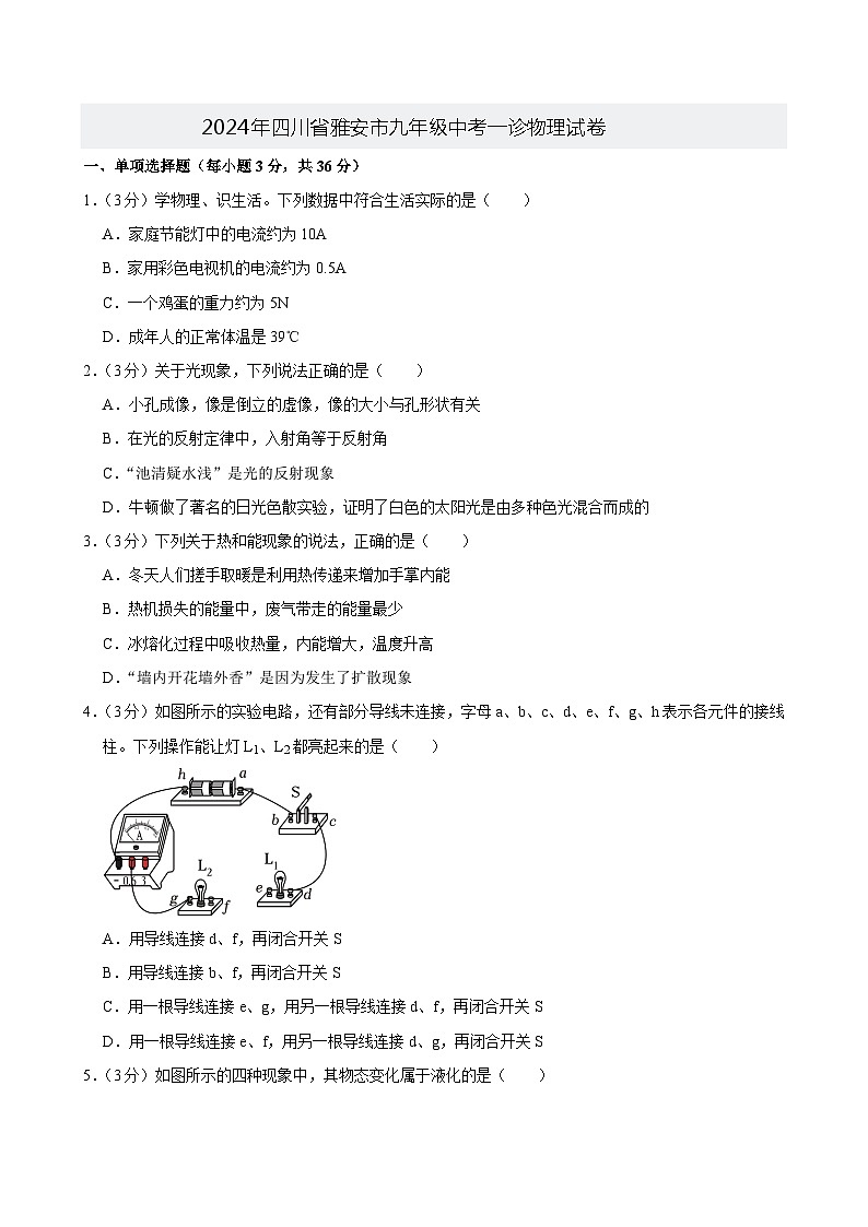 2024年四川省雅安市九年级中考一诊物理试卷+01