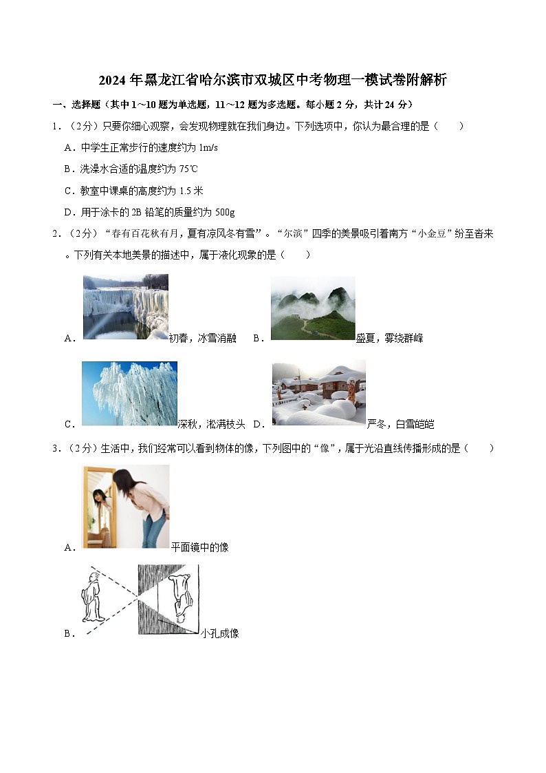 2024年黑龙江省哈尔滨市双城区中考物理一模试卷附解析01