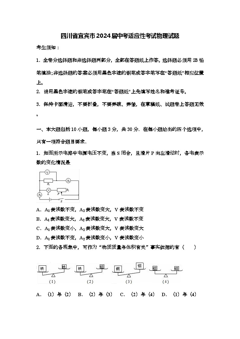 2024年四川省宜宾市中考适应性考试物理试题（解析版）01