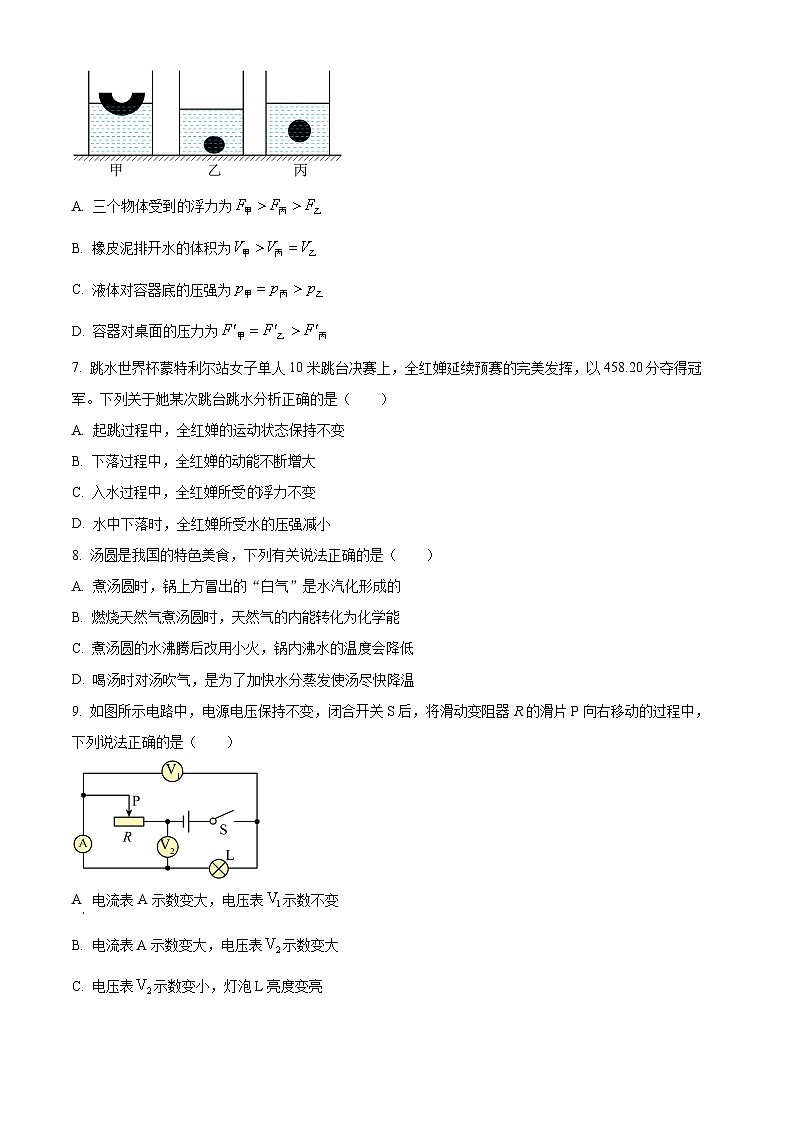 山东省烟台市莱州市2023-2024学年九年级下学期4月期中物理试题（原卷版+解析版）03