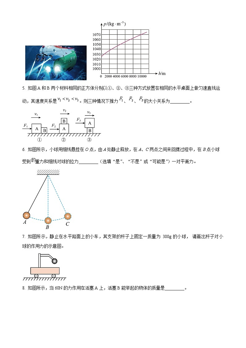 安徽省合肥市第四十五中学橡树湾校区2023－2024学年八年级下学期期中考试物理试题（原卷版）第2页