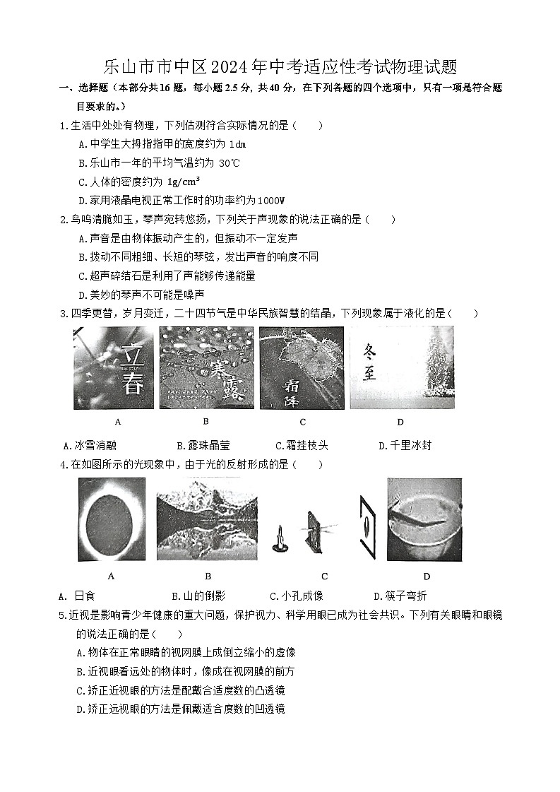 2024年四川省乐山市市中区中考适应性考试物理试题第1页