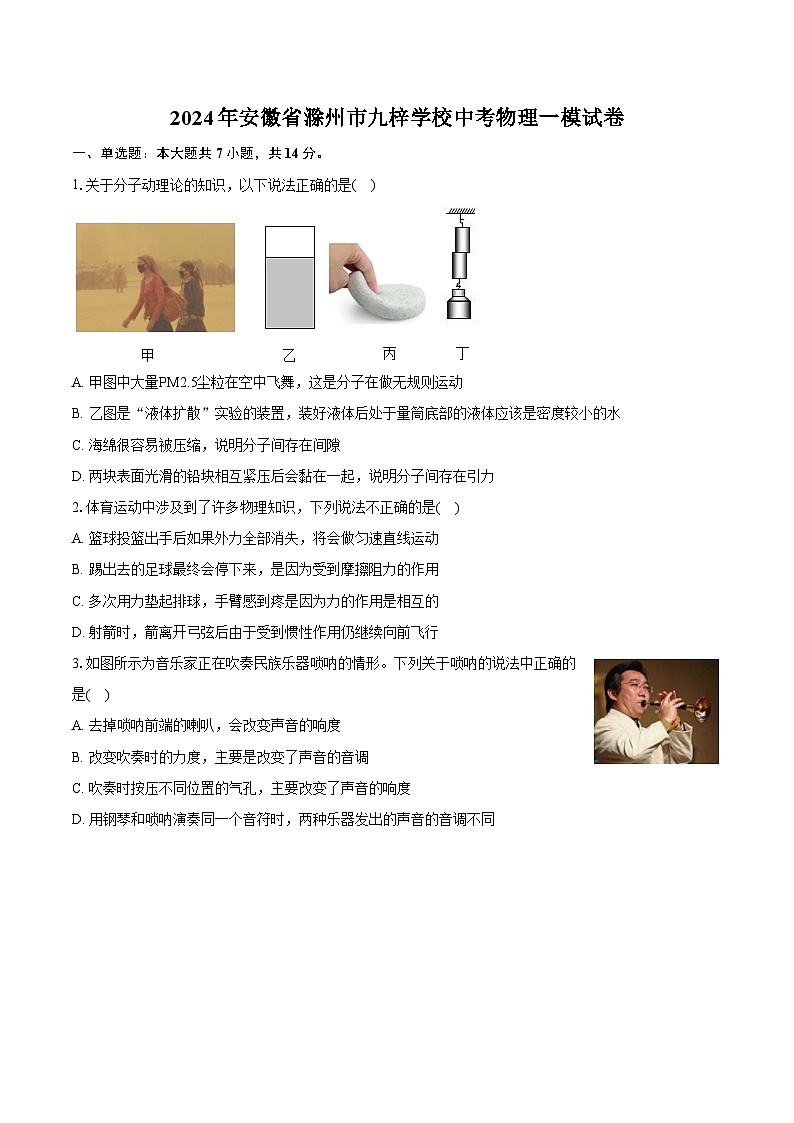 2024年安徽省滁州市九梓学校中考物理一模试卷（含详细答案解析）01