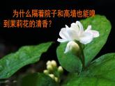 1.1分子动理论 课件-九年级物理上册同步精品课堂（教科版）