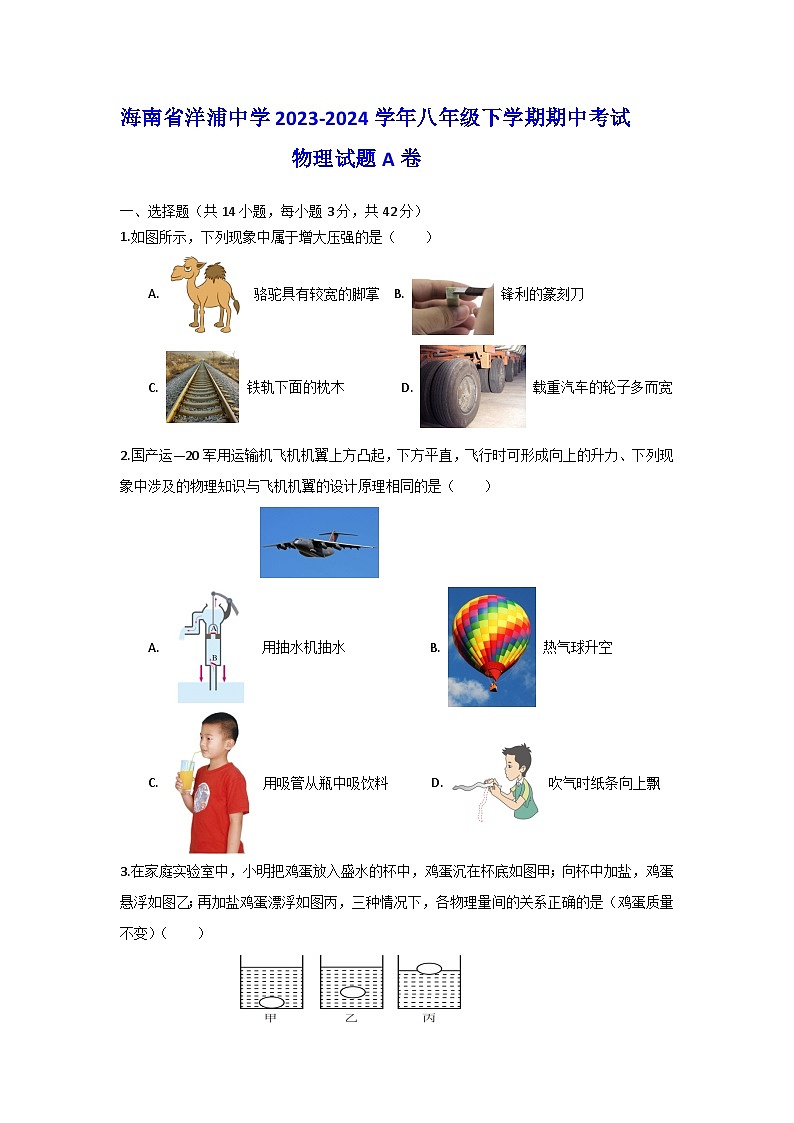 海南省洋浦中学2023-2024学年八年级下学期期中考试物理试题A卷第1页