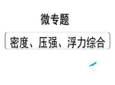 中考物理二轮重点专题研究（课件） 微专题 密度、压强、浮力综合