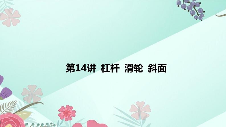 中考物理专题课件：第14讲 杠杆 滑轮 斜面第2页