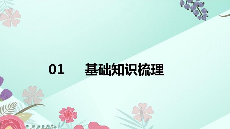 中考物理专题课件：第14讲 杠杆 滑轮 斜面第3页