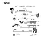 中考物理一轮复习课件 声现象