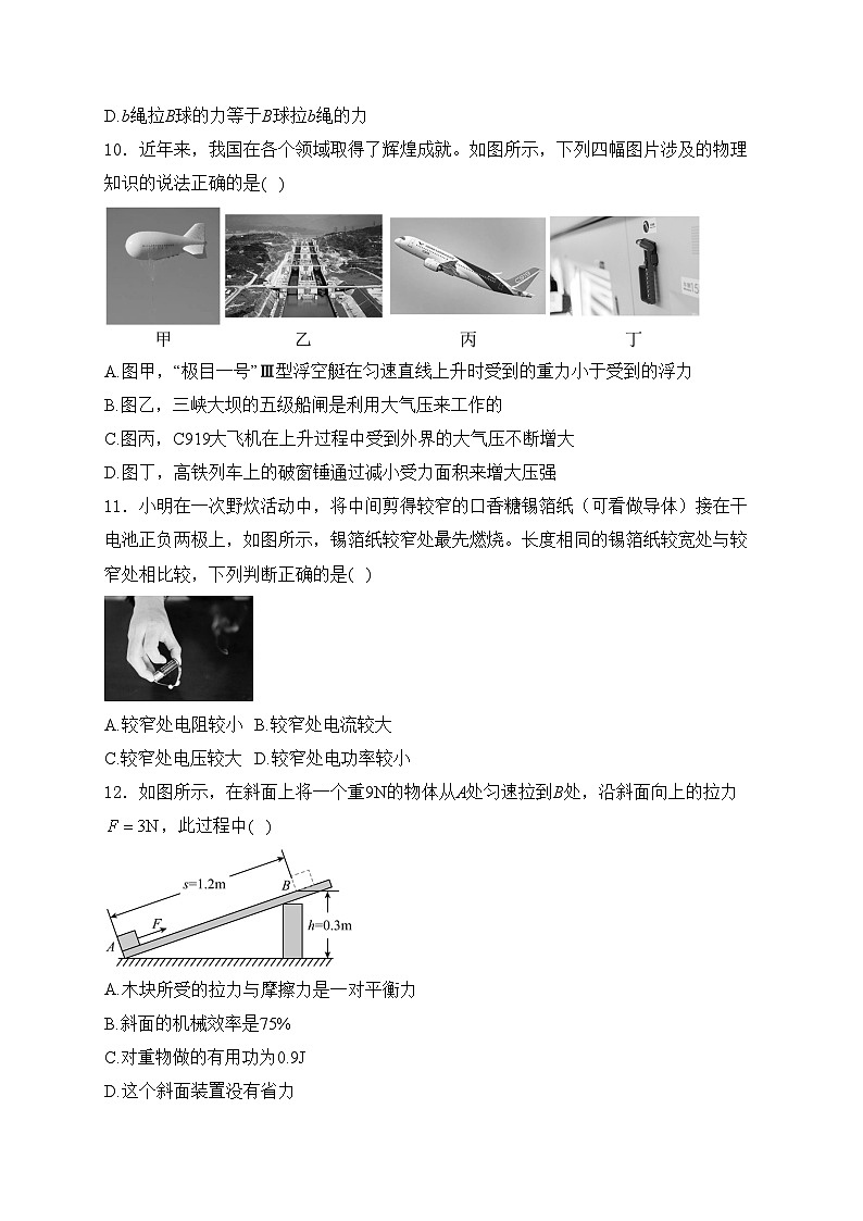河南省安阳市2024年中考一模物理试卷(含答案)第3页