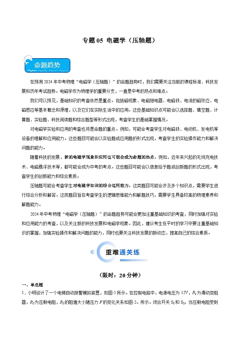 专题05 电磁学（压轴题）2024年中考物理专项练习（全国通用）原卷版第1页