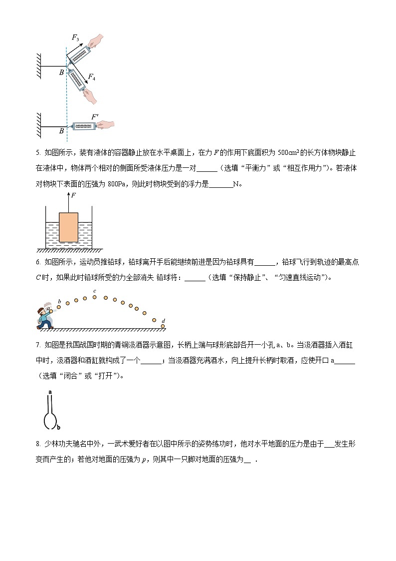 2024年合肥市五十中学东校2023－2024学年八年级下学期期中考试物理试题（原卷版）第2页