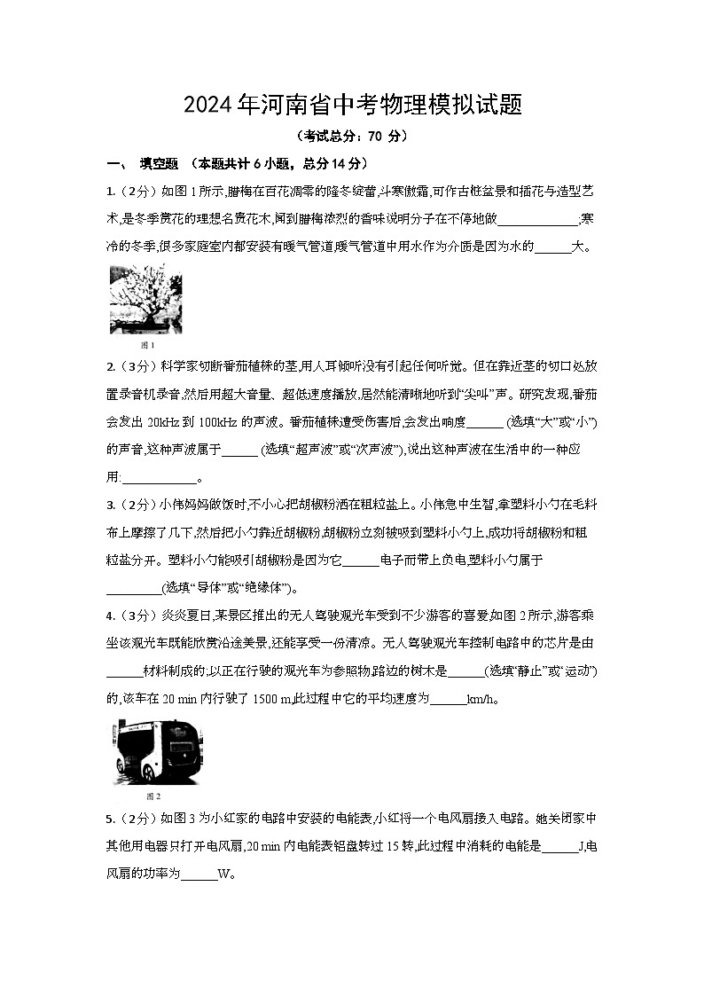 2024年河南省中考物理模拟试题（含答案）01