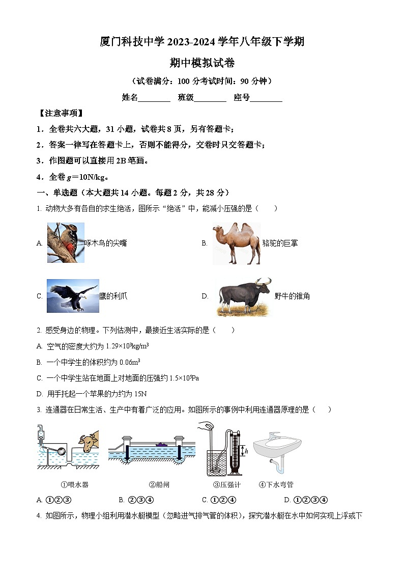 福建省厦门科技中学2023-2024学年八年级下学期期中模拟物理试卷（原卷版+解析版）01