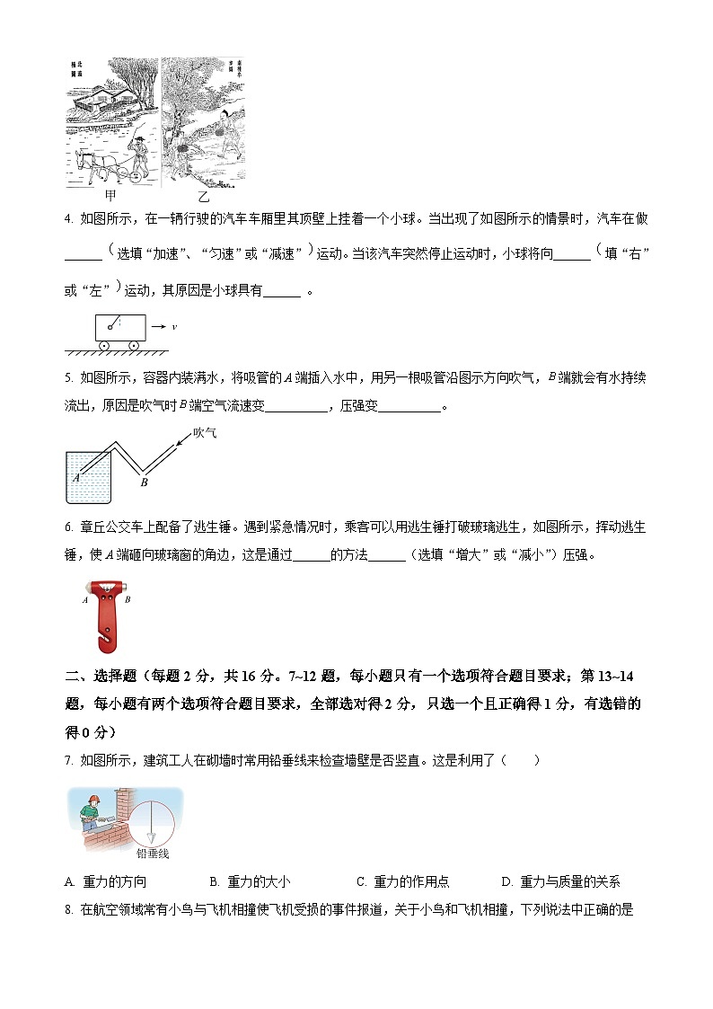 河南省洛阳市伊川县2023-2024学年八年级下学期4月期中物理试题（原卷版）第2页