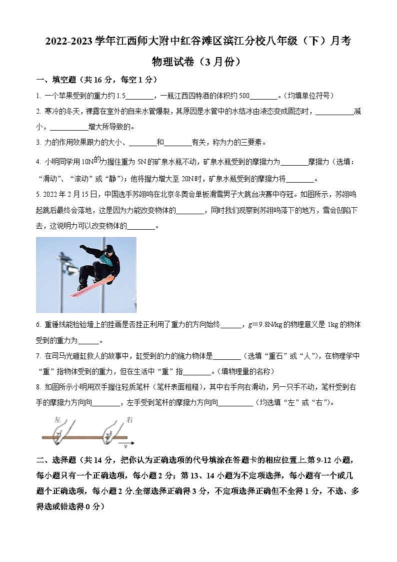 江西师大附中红谷滩区滨江分校2022-2023学年八年级下学期三月月考物理试卷（原卷版）第1页