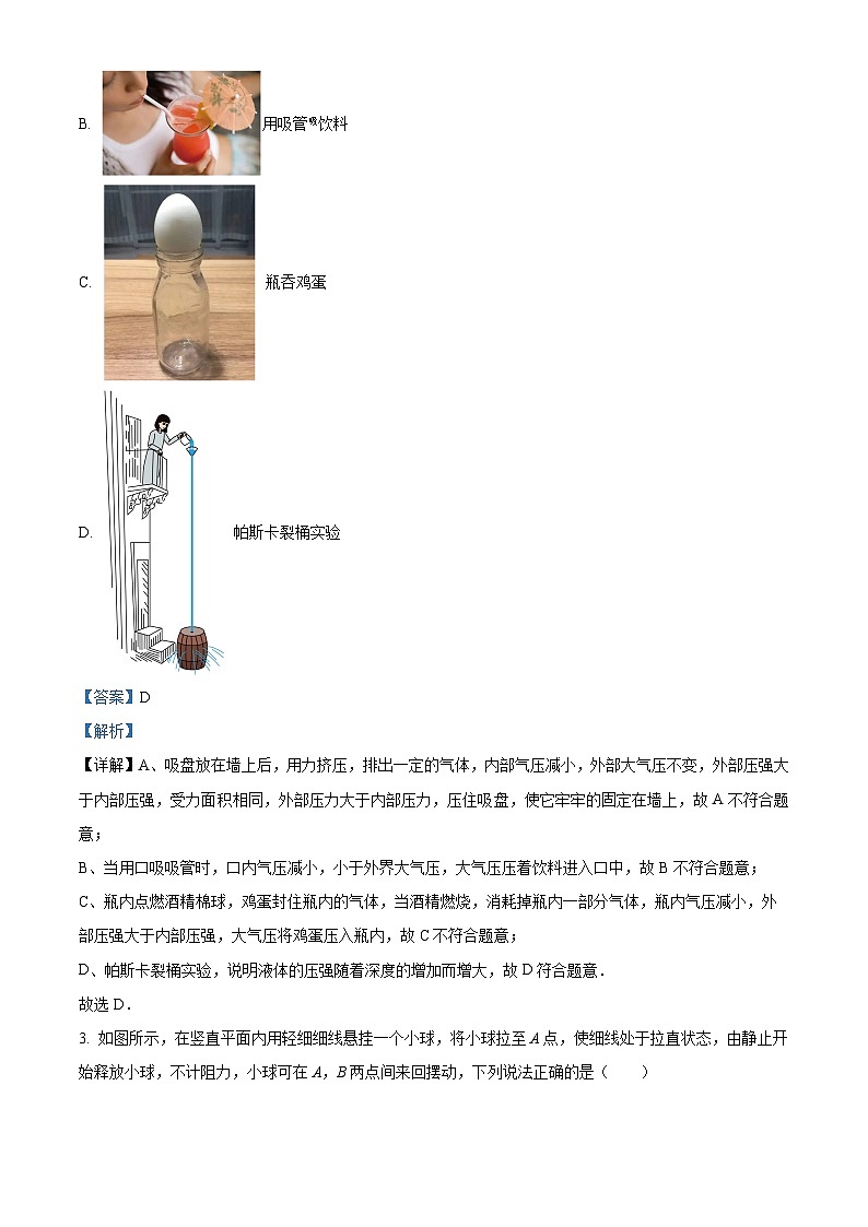 广东省深圳市蛇口育才教育集团2023-2024学年第二八年级下学期期中考试物理试卷（原卷版+解析版）02