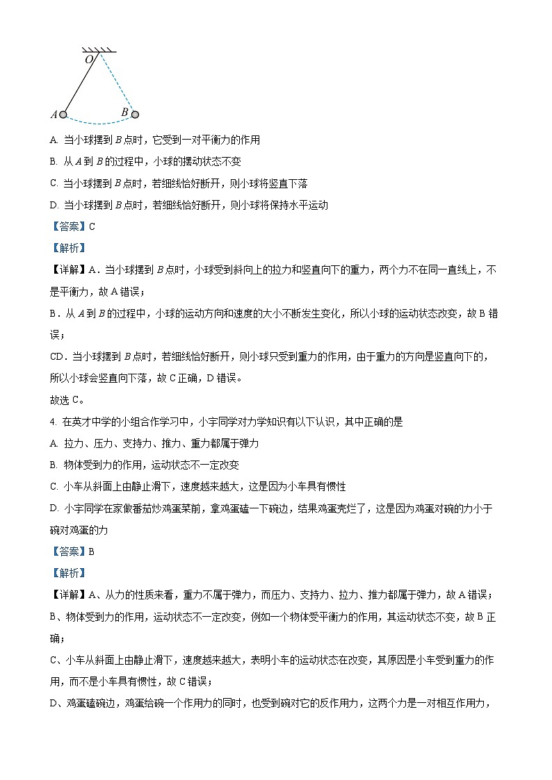广东省深圳市蛇口育才教育集团2023-2024学年第二八年级下学期期中考试物理试卷（原卷版+解析版）03