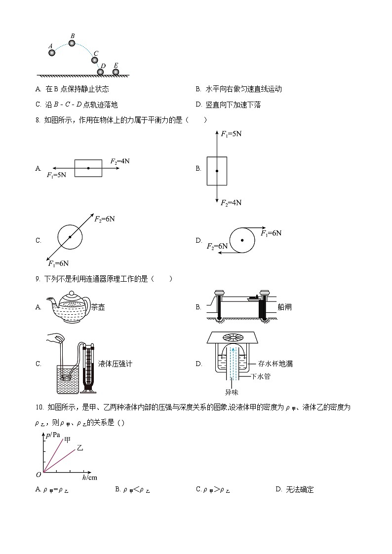 河北省石家庄市第四十八中学2023—2024学年下学期期中考试八年级物理试卷（原卷版）第3页