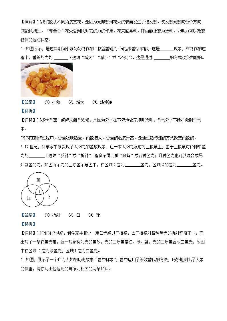 2024年河南省南阳市油田中考一模物理试卷（解析版）第2页