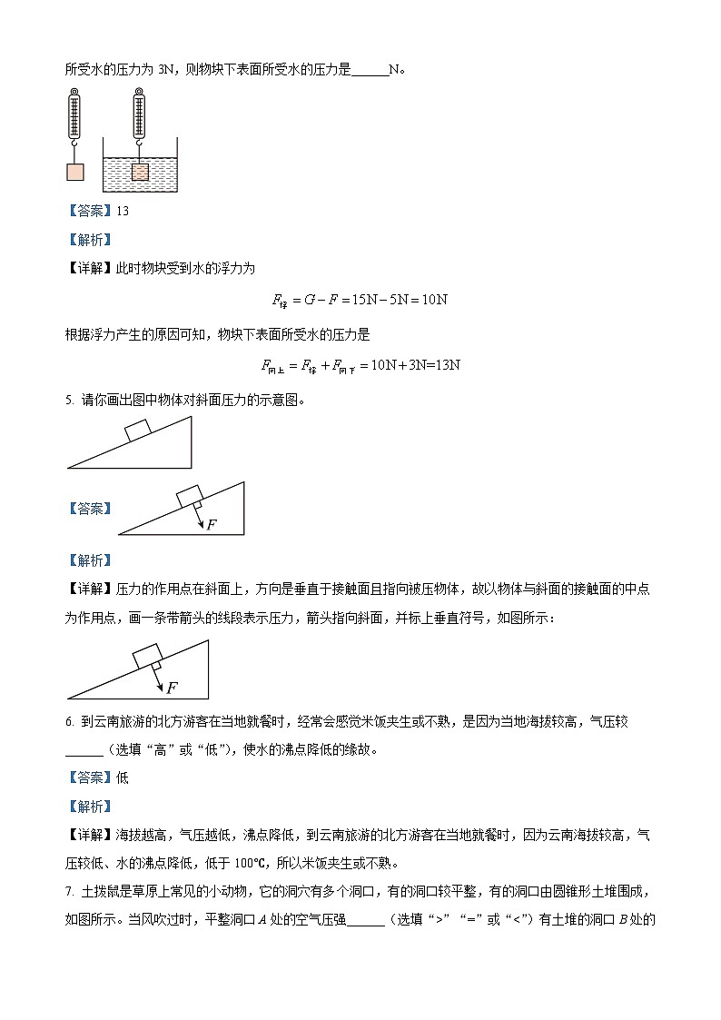 安徽省合肥市第四十五中学中学2023－2024学年八年级下学期期中考试物理试题（原卷版+解析版）02