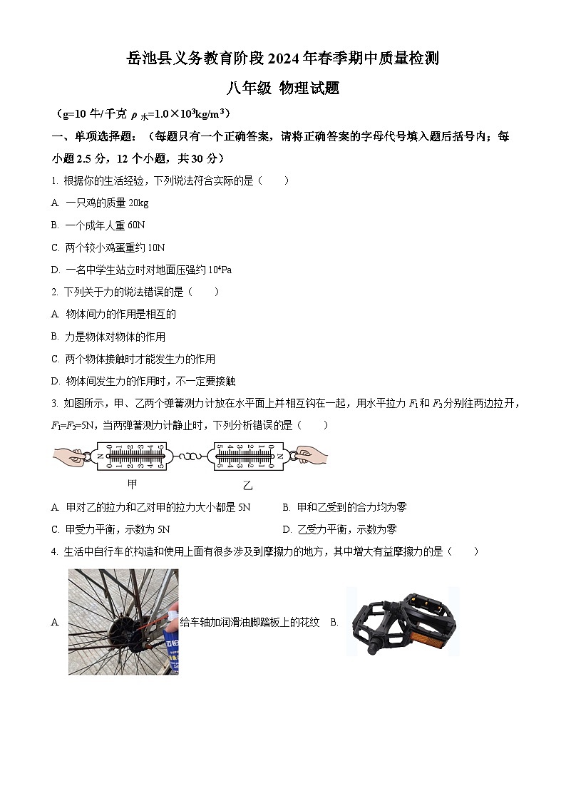 四川省广安市岳池县2023-2024学年八年级下学期期中考试物理试题（原卷版+解析版）01