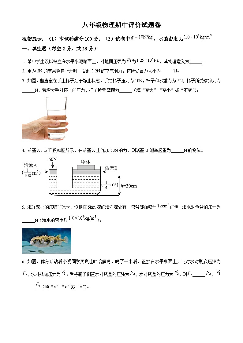 安徽省合肥寿春中学2023-2024学年八年级下学期期中考试物理试卷（原卷版+解析版）01