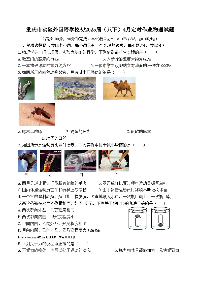143，重庆市实验外国语学校2023－2024学年下学期八年级4月定时作业物理试题第1页