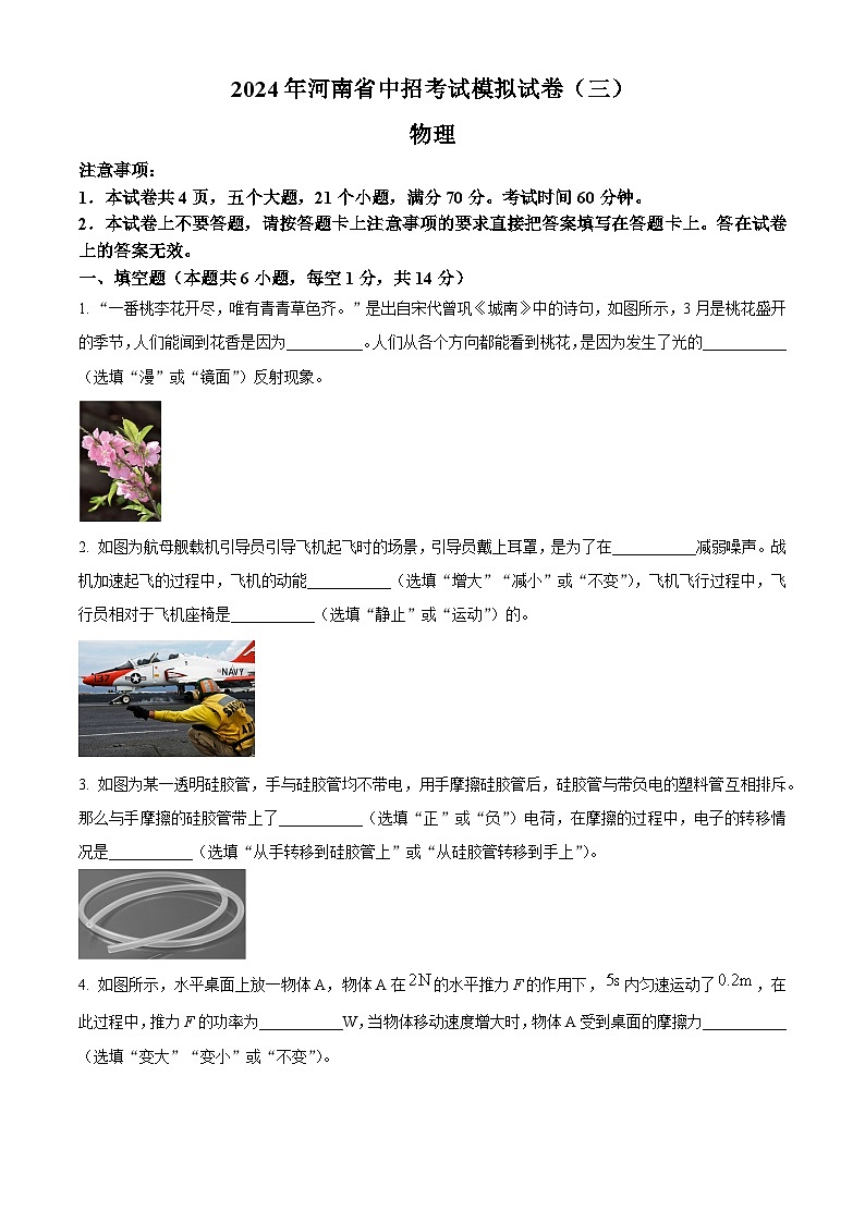 2024年河南省信阳市潢川县中考三模物理试卷（原卷版）第1页