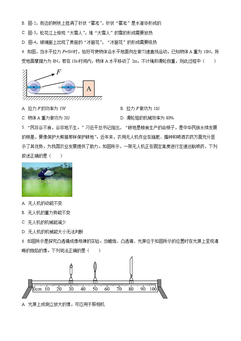 2024年河北省沧州市第十七中学中考一模理综物理试题（原卷版+解析版）02