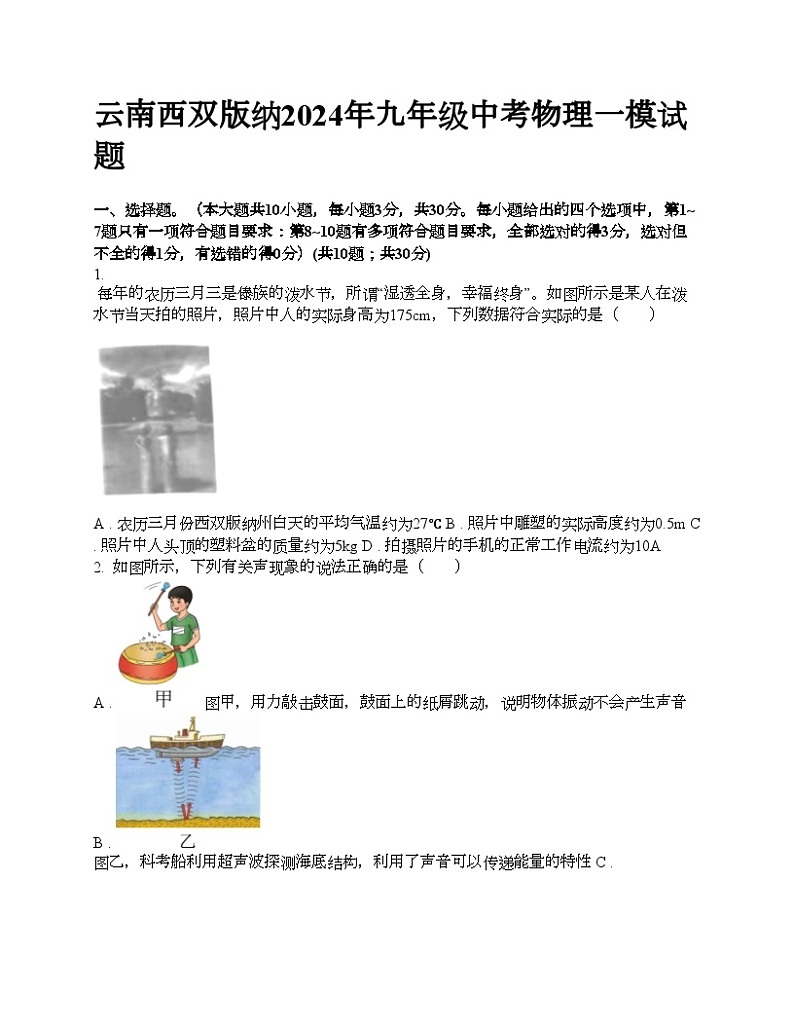 云南西双版纳2024年九年级中考物理一模试题第1页