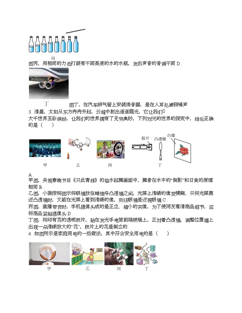 云南西双版纳2024年九年级中考物理一模试题第2页