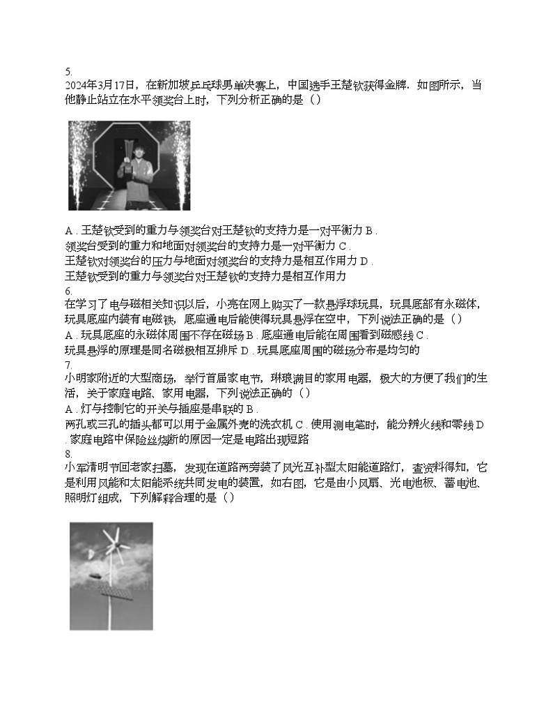 湖南省邵阳市2024年中考物理一模试题第2页