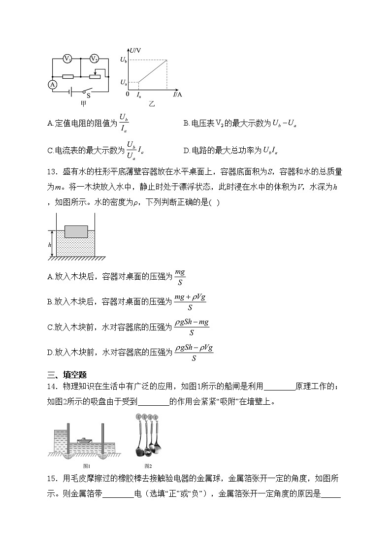 天津市滨海新区2023-2024学年中考一模物理试卷(含答案)03