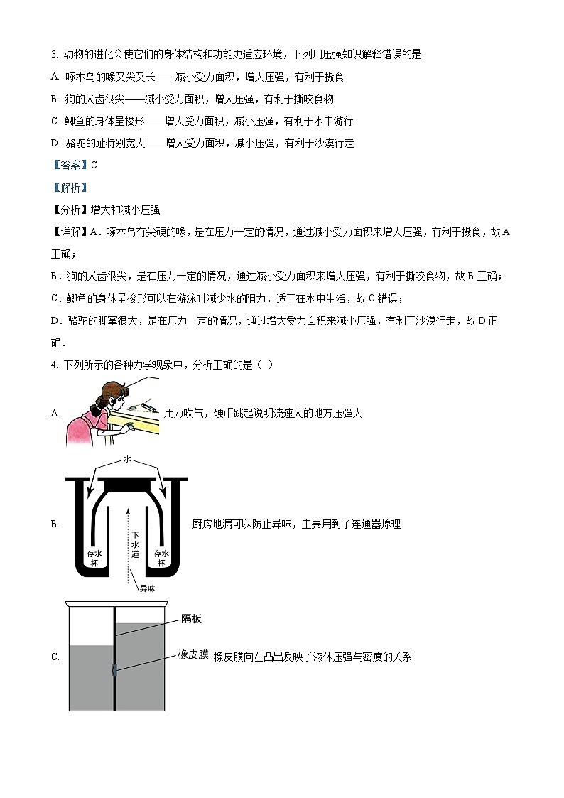 湖北省十堰市竹溪县学习共同体联考2023-2024学年八年级下学期4月期中物理试题（原卷版+解析版）02