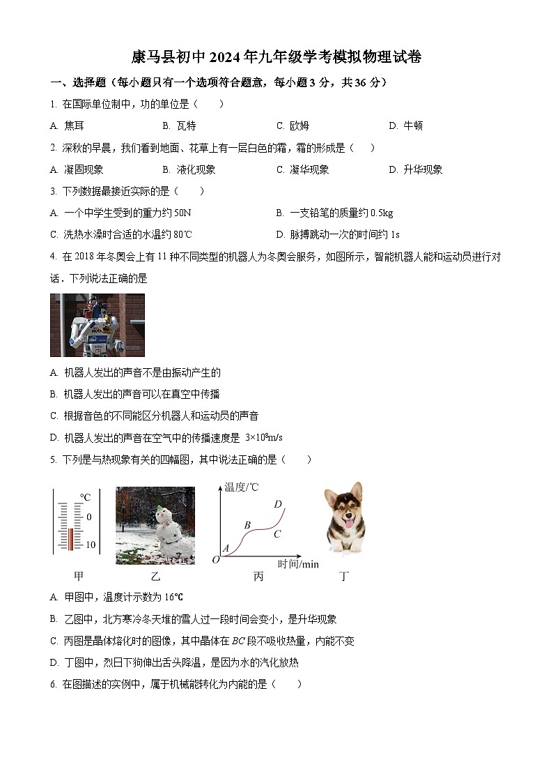 2024年西藏自治区日喀则市康马县中考一模物理试题（原卷版+解析版）01