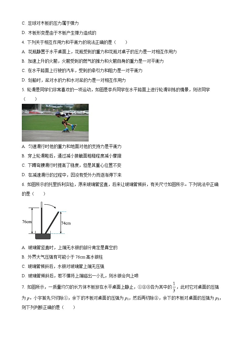 云南省保山市智源初级中学2023-2024学年八年级下学期4月期中物理试题（原卷版+解析版）02